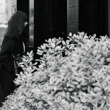 De Lille - Saint-germain Des Pres