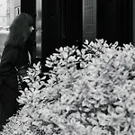 De Lille - Saint-germain Des Pres
