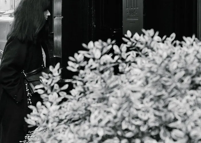 De Lille - Saint-germain Des Pres